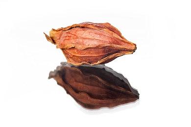 《古惑狼4》Steam版10＆18推出 12＆8新作公布